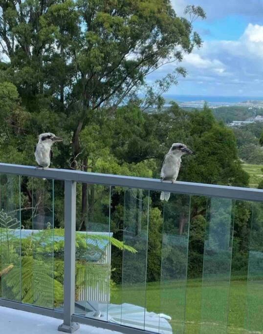 Apartamento Ocean View Oasis, Coffs Harbour Exterior foto